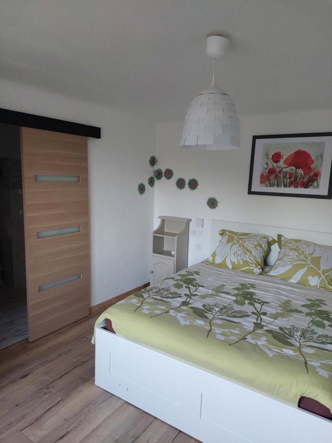 Les Hirondelles Apartment Laquenexy ภายนอก รูปภาพ